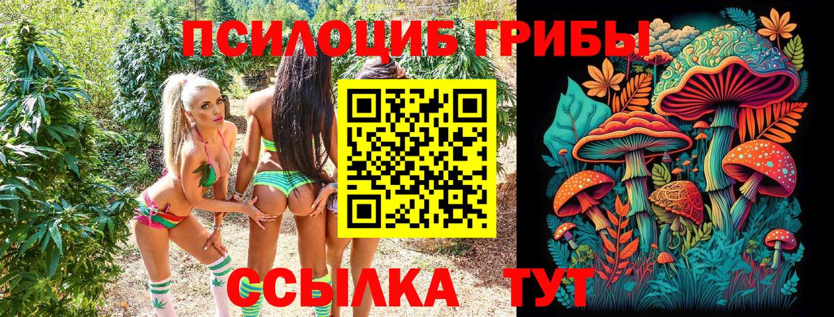 Галлюциногенные грибы мицелий  Псилоцибиновые грибы ЛСД  Мариинск  Вход с VPN 
